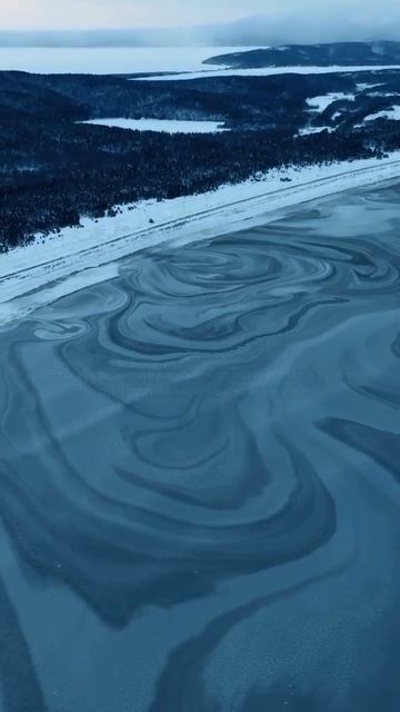 Узоры шуги в Охотском море — ледяная графика природы