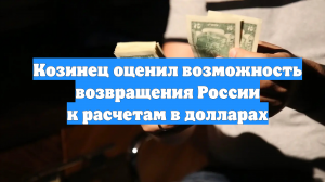 Козинец оценил возможность возвращения России к расчетам в долларах