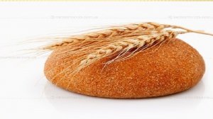 БОГ КрестЯнИн. 19.02.26.