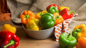 Сладкий перец 2026: какие сорта я выбрала для своей грядки.