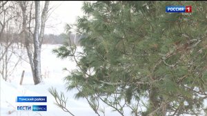 Вести-Томск, выпуск от 21.02.2026 14:30