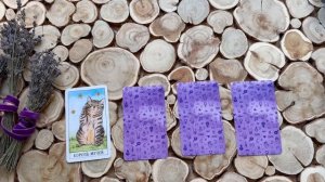 Да или нет? Таро расклад