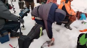 23.02.26 г. РК Волна.