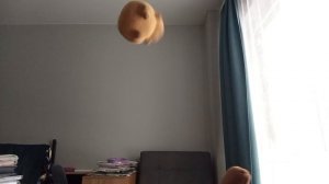 Дискотека Electrodinamyx