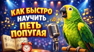 КАК БЫСТРО НАУЧИТЬ ПЕТЬ ПОПУГАЯ