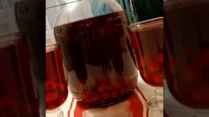 компот в соло