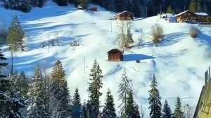 1000010938.mp4 🌲 КАНАТНАЯ ДОРОГА НАД ЛЕСОМ, ОГОНЬ ЗА ОКНОМ И ТИШИНА 🌲