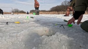 река Битюг на мормышку С праздником!