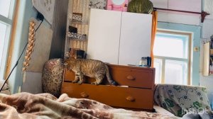 Домохозяйка в деле  Узнала новости морального провала