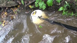 Поиск самородков в корнях металлоискателем!