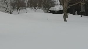 Снежная пасека  в феврале