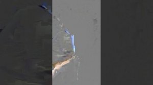 1000246535.mp4 Пуховые изделия.т.89020931602