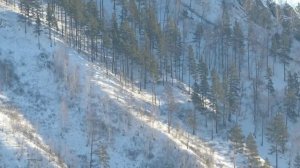 Манские зарисовки 11 мин ( "солянка" за год ) мелодия "Хрустальная грусть "