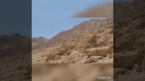 ИЗРАИЛЬ! Красота!  Мы едем на мёртвое море!