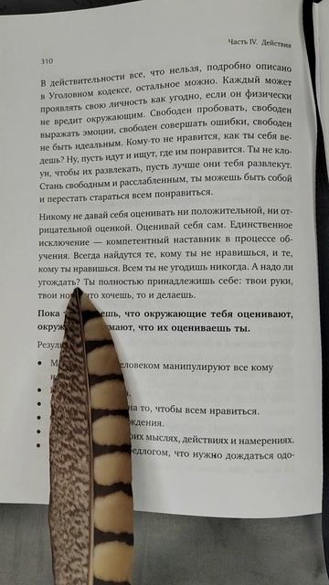 Не давай себя оценивать. Книга Дневник реалиста смотреть онлайн