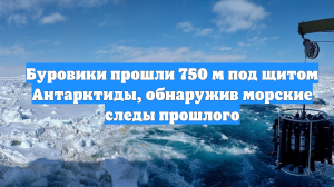 Буровики прошли 750 м под щитом Антарктиды, обнаружив морские следы прошлого