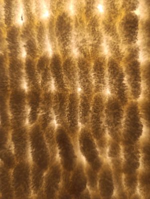 новости и поздравление 23 февраля