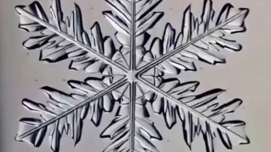 Высотный градиент осадков. Погода. Снегосъёмка.