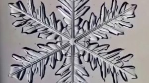 Высотный градиент осадков. Погода. Снегосъёмка.