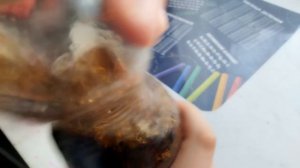 микро эксперимент . от меня