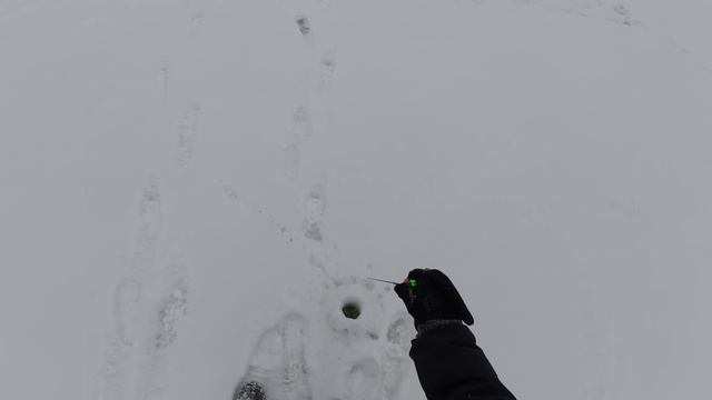 Моготово (Масловы горы) Моготово (Масловы горы)