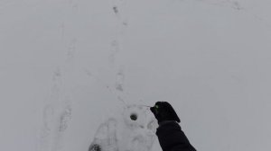 Моготово (Масловы горы)