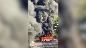 Массовые беспорядки начались в Мексике после убийства главы наркокартеля.