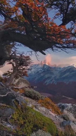 20260219 ИИ песня Мы сняли дёрн там небо под ногами Максима Заречного видео NN стихи Дмитрия из Орла
