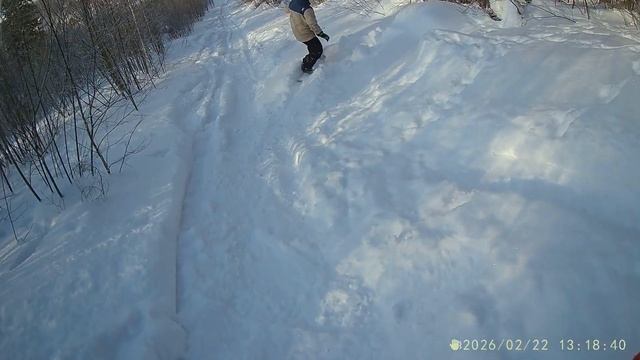 Павловский парк 220226