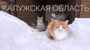 Выходные в Калужской области: база отдыха "Иволга", сидродельня "Птицы", парк птиц "Воробьи"