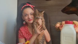 Купили интересное печенье! Сейчас покажу! Распаковка! Привет Всем от Лизы и Бекки)))🤗🤗🤗