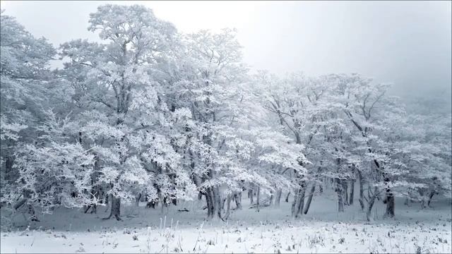 Срочно возьмите соль и воду 25 февраля.