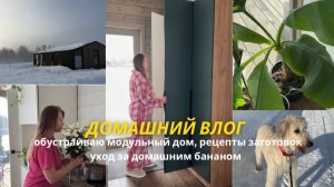 КУПИЛИ ШКАФ ЗА 19К НА ОЗОН | детки домашнего банана | хранение химии | мотивация на уборку