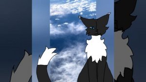 конкурс котов на 30 пд! до 1 марта