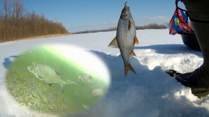 🐟Рыбалка в Самаре. Нашёл стоянку зимнего ПОДЛЕЩИКА в затоне Грязный!
