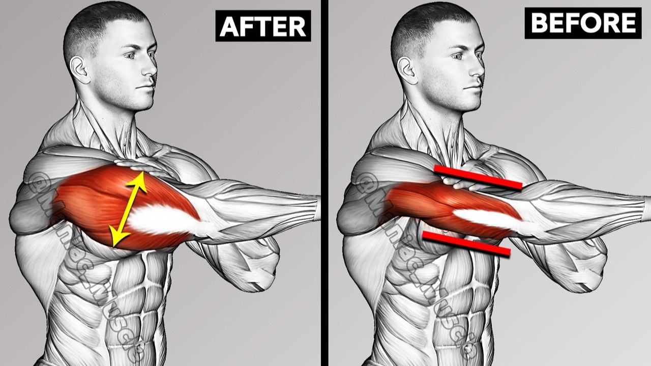 Единственные упражнения на трицепсы, которые Вам нужны (гантели)