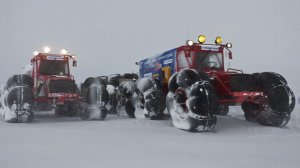 Полярное кольцо 2011