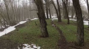 Охота на зайца - косой перемудрил