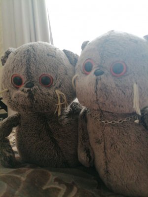 С 23 ФЕВРАЛЯ!!!ЗАХОДИТЕ НА ТРАНСЛЯЦИЮ 👇👇👇👇