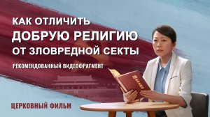 «Как отличить добрую религию от зловредной секты» (Рекомендованный видеофрагмент)