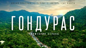 ГОНДУРАС -Территория Страха!!! Мир Диких Джунглей!