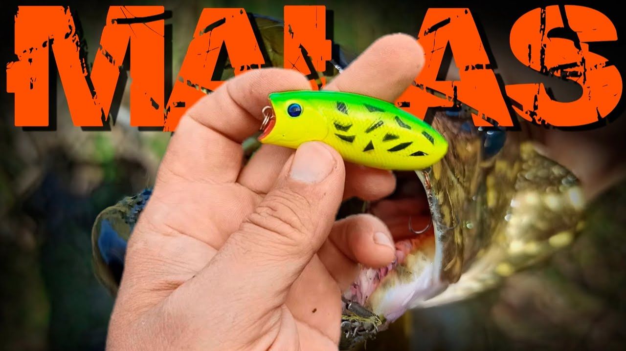 Щучки на «БЕШЕННОЕ ЯЙЦО»! Поклевок много, но в основном «шнурки» Щучки на «БЕШЕННОЕ ЯЙЦО»! Поклевок много, но в основном «шнурки»