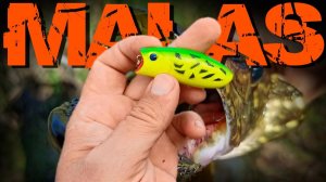 Щучки на «БЕШЕННОЕ ЯЙЦО»! Поклевок много, но в основном «шнурки»