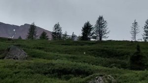 YouCut_20260224_000640365.mp4