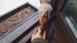 выходной понедельник в вольном зоопарке