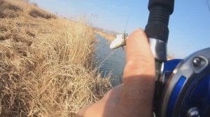 пелик на дергач