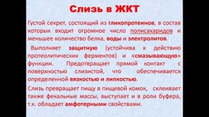 Пищеварение. Дьяконова И.Н.