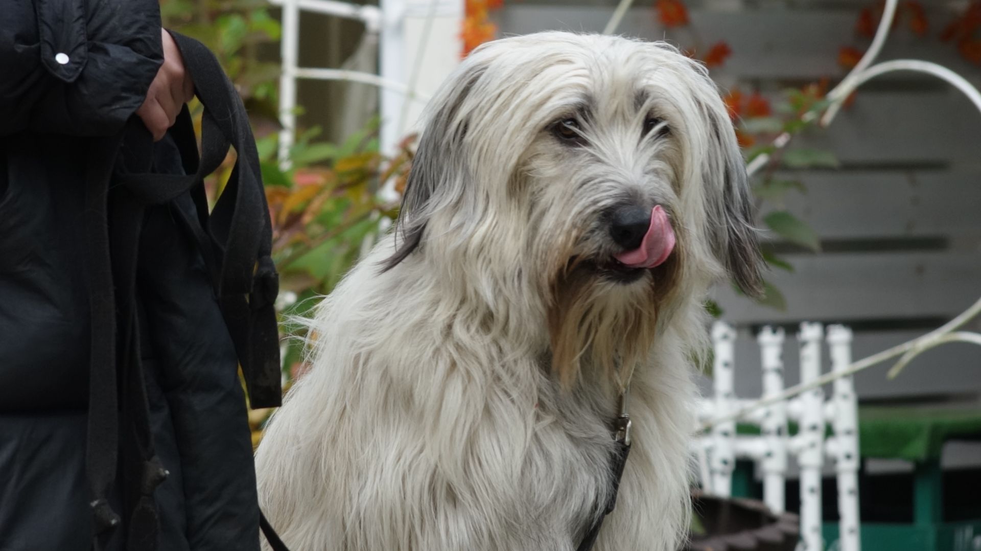 Мужская компания и мясные деликатесы