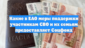 Какие в ЕАО меры поддержки участникам СВО и их семьям предоставляет Соцфонд