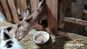 23-02-2026 Вот настырный какой.